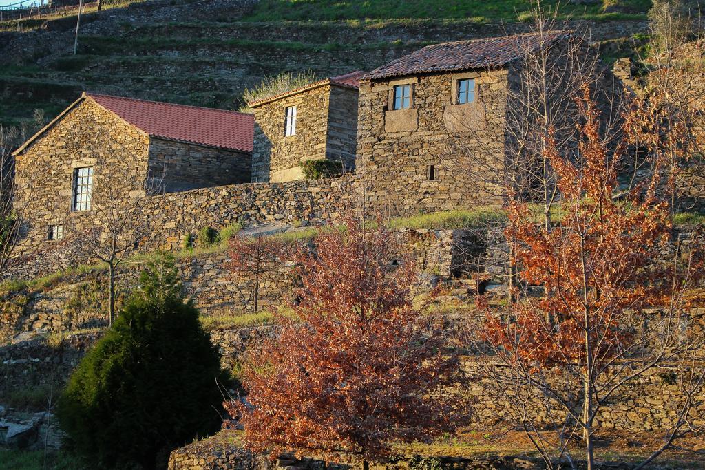 Cardenha Do Douro